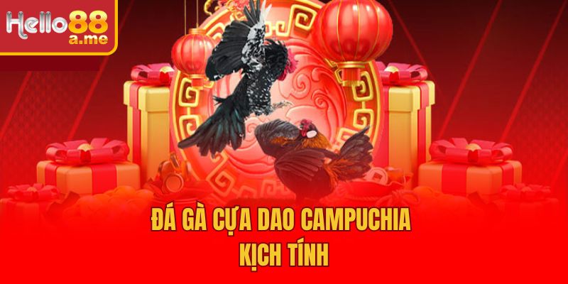 Đá gà cựa dao Campuchia kịch tính