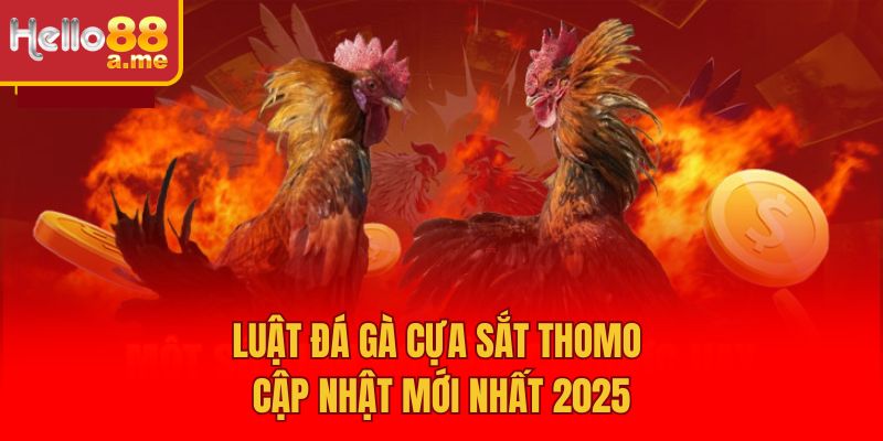Luật đá gà cựa sắt Thomo cập nhật mới nhất 2025
