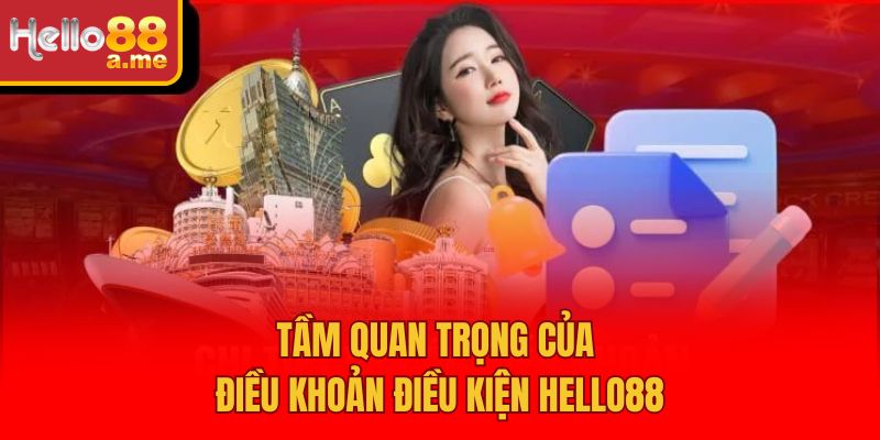 Tầm quan trọng của điều khoản điều kiện Hello88